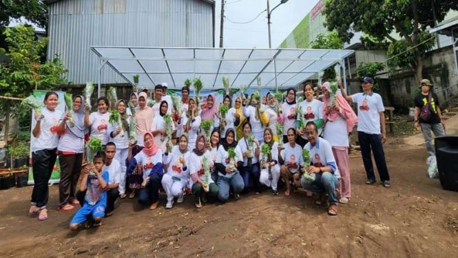 Relawan Orang Muda Ganjar (OMG) perbaiki green house yang ambruk