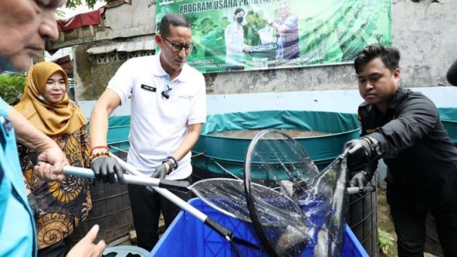 Sandiaga Uno memanen hasil budidaya ikan dalam ember
