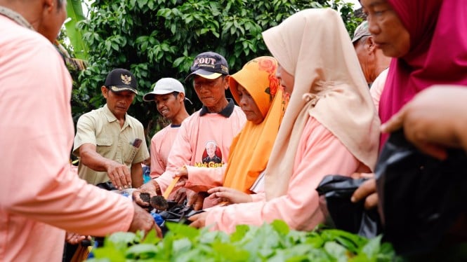 Relawan Ganjar gelar penyuluhan edukasi pertanian organik